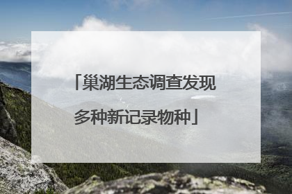 巢湖生态调查发现多种新记录物种