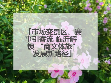 市场变景区、赛事引客流 临沂解锁 “商文体旅” 发展新路径