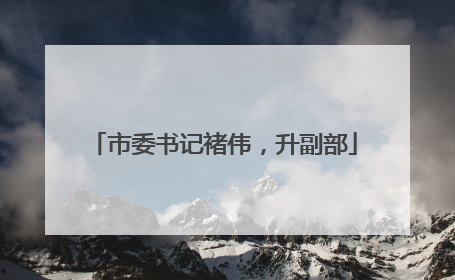 市委书记褚伟，升副部