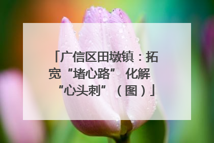 广信区田墩镇：拓宽“堵心路” 化解“心头刺”（图）
