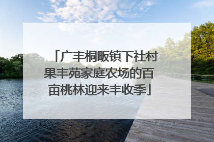 广丰桐畈镇下社村果丰苑家庭农场的百亩桃林迎来丰收季