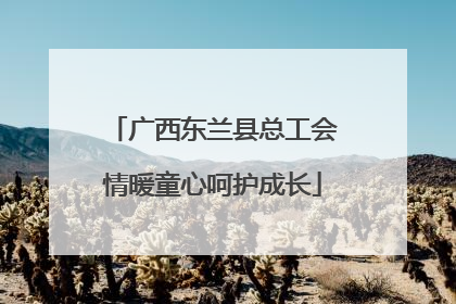 广西东兰县总工会情暖童心呵护成长