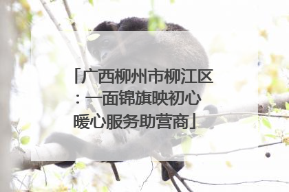 广西柳州市柳江区：一面锦旗映初心 暖心服务助营商