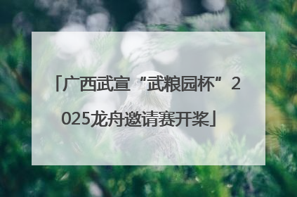 广西武宣“武粮园杯”2025龙舟邀请赛开桨