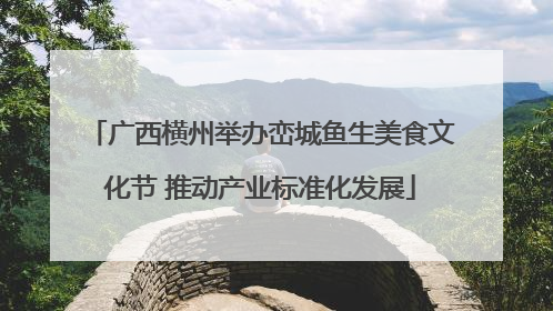 广西横州举办峦城鱼生美食文化节 推动产业标准化发展