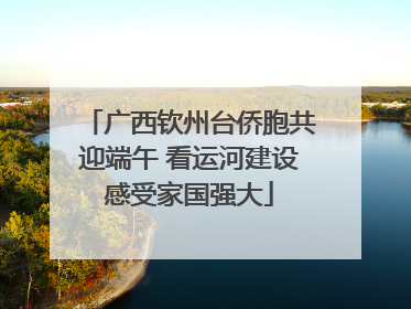 广西钦州台侨胞共迎端午 看运河建设感受家国强大