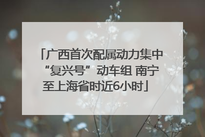 广西首次配属动力集中“复兴号”动车组 南宁至上海省时近6小时