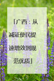 广西：从减证便民提速增效到规范优质