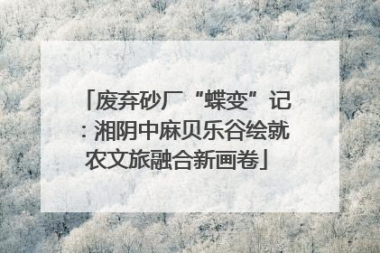 废弃砂厂“蝶变”记：湘阴中麻贝乐谷绘就农文旅融合新画卷