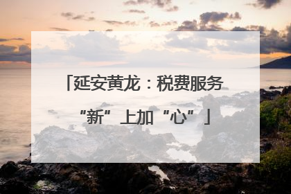 延安黄龙：税费服务“新”上加“心”
