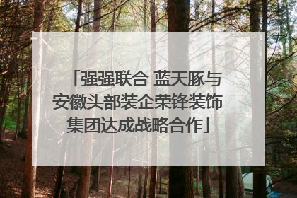 强强联合 蓝天豚与安徽头部装企荣锋装饰集团达成战略合作