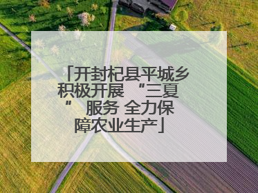 开封杞县平城乡积极开展 “三夏” 服务 全力保障农业生产