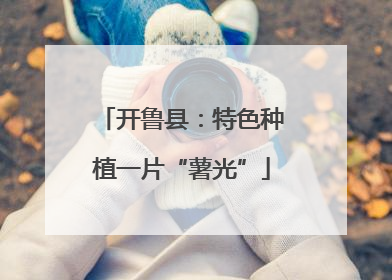 开鲁县：特色种植一片“薯光”