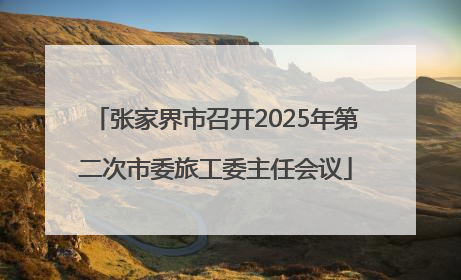张家界市召开2025年第二次市委旅工委主任会议