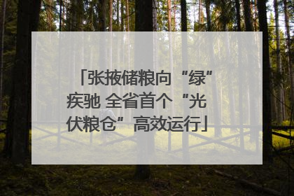 张掖储粮向“绿”疾驰 全省首个“光伏粮仓”高效运行