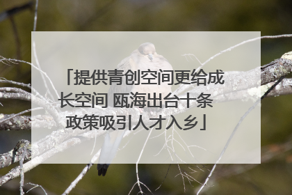 提供青创空间更给成长空间 瓯海出台十条政策吸引人才入乡