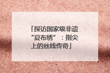 探访国家级非遗“夏布绣”：指尖上的丝线传奇