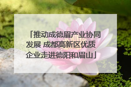 推动成德眉产业协同发展 成都高新区优质企业走进德阳和眉山