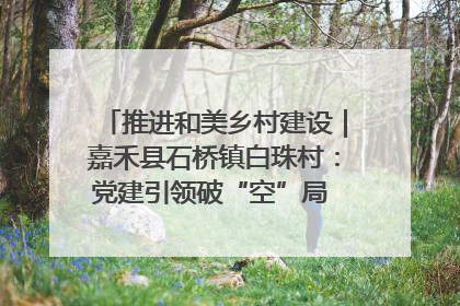 推进和美乡村建设｜嘉禾县石桥镇白珠村：党建引领破“空”局 乡贤聚力绘就新图景