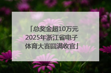 总奖金超10万元 2025年浙江省电子体育大赛圆满收官