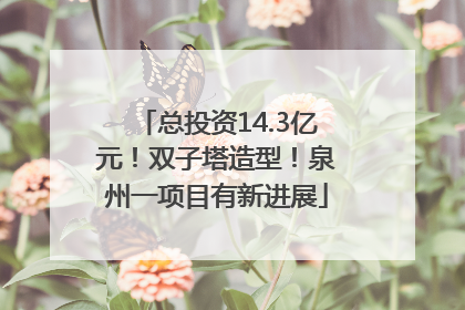总投资14.3亿元！双子塔造型！泉州一项目有新进展