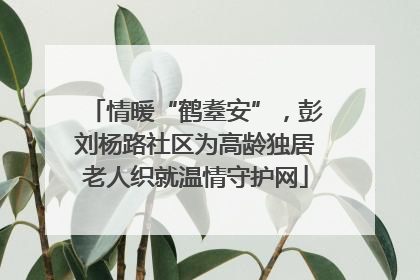 情暖“鹤耋安”，彭刘杨路社区为高龄独居老人织就温情守护网