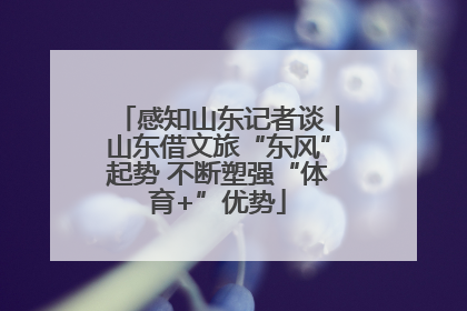 感知山东记者谈丨山东借文旅“东风”起势 不断塑强“体育+”优势