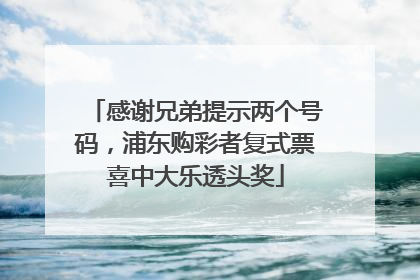 感谢兄弟提示两个号码，浦东购彩者复式票喜中大乐透头奖