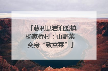 慈利县岩泊渡镇杨家桥村：山野菜变身“致富菜”