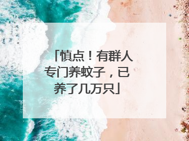 慎点！有群人专门养蚊子，已养了几万只