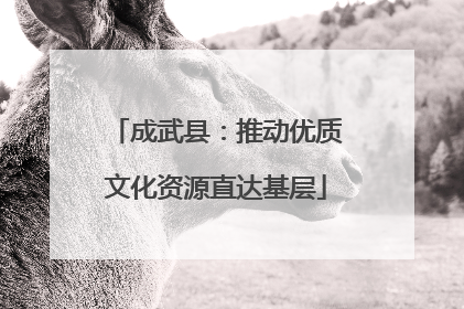 成武县：推动优质文化资源直达基层