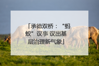承德双桥：“蚂蚁”议事 议出基层治理新气象