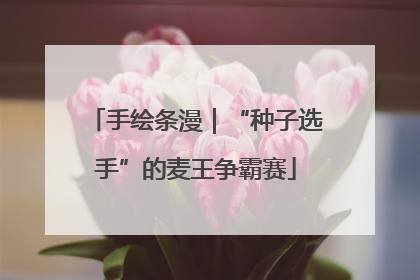 手绘条漫｜“种子选手”的麦王争霸赛