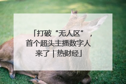 打破“无人区”，首个超头主播数字人来了｜热财经