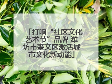 打响“社区文化艺术节”品牌 潍坊市奎文区激活城市文化新动能