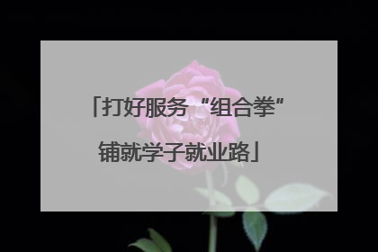 打好服务“组合拳” 铺就学子就业路
