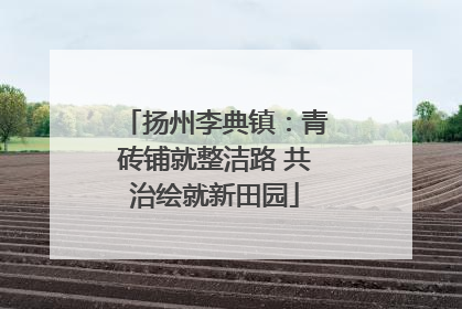 扬州李典镇：青砖铺就整洁路 共治绘就新田园