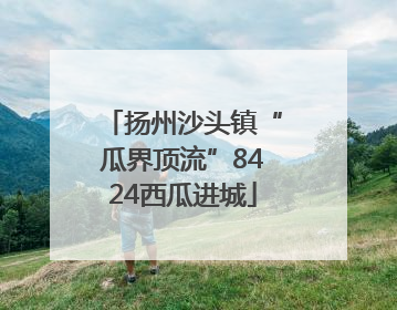 扬州沙头镇“瓜界顶流”8424西瓜进城