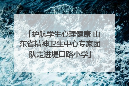 护航学生心理健康 山东省精神卫生中心专家团队走进堤口路小学