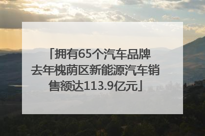 拥有65个汽车品牌 去年槐荫区新能源汽车销售额达113.9亿元