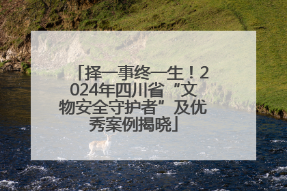 择一事终一生！2024年四川省“文物安全守护者”及优秀案例揭晓