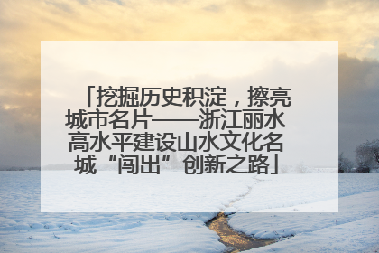 挖掘历史积淀，擦亮城市名片——浙江丽水高水平建设山水文化名城“闯出”创新之路