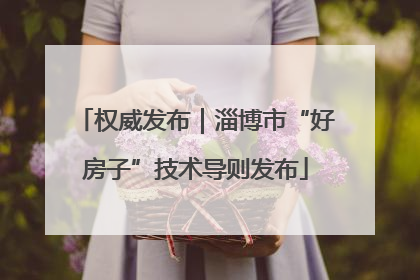 权威发布｜淄博市“好房子”技术导则发布
