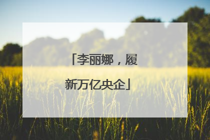 李丽娜，履新万亿央企