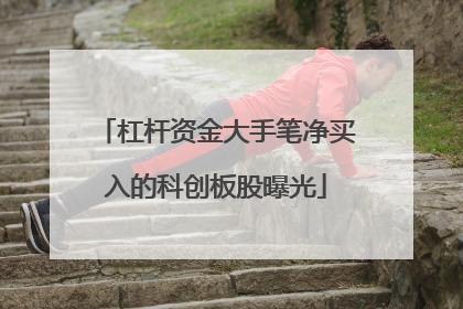 杠杆资金大手笔净买入的科创板股曝光