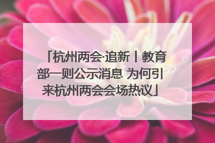 杭州两会·追新丨教育部一则公示消息 为何引来杭州两会会场热议