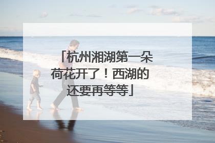 杭州湘湖第一朵荷花开了！西湖的还要再等等