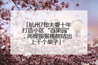 杭州7旬夫妻十年打造小区“百果园”，两棵猕猴桃树结出上千个果子