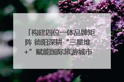 构建四位一体品牌矩阵 德阳深耕“三星堆+”赋能国际旅游城市建设｜文旅局长说