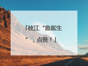 枝江“鱼医生”，点赞！